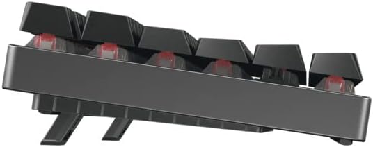 Cherry MX 8.2 TKL Wireless Gaming Keyboard. Compact TenKeyLess. Mechanical 87 Keys RGB Backlit Keys ABS Keycaps. MX Red Switch. Aluminum Carrying Case Included.