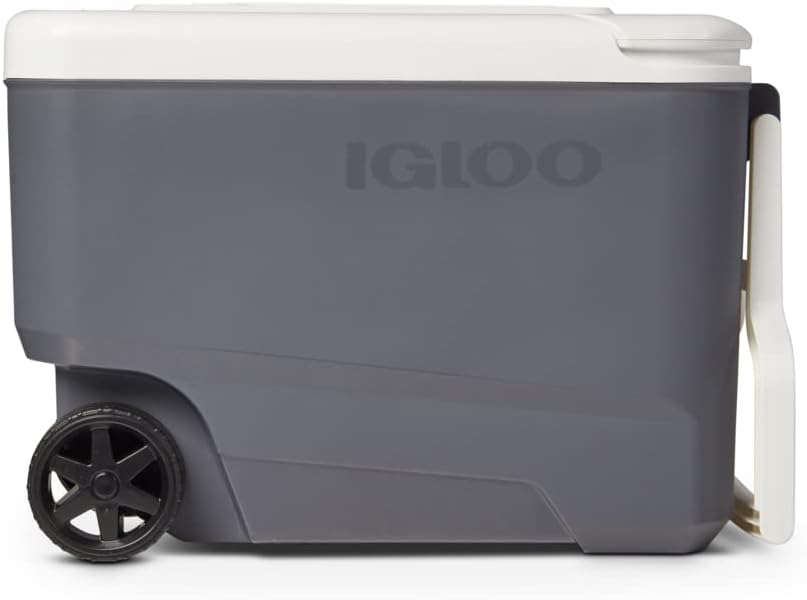 Igloo Iceless Thermoelectric Cooler | Portable Electric Plug-in Coolers