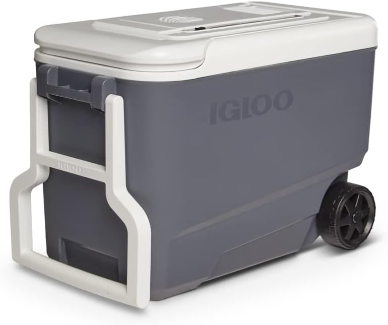 Igloo Iceless Thermoelectric Cooler | Portable Electric Plug-in Coolers