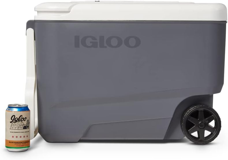 Igloo Iceless Thermoelectric Cooler | Portable Electric Plug-in Coolers