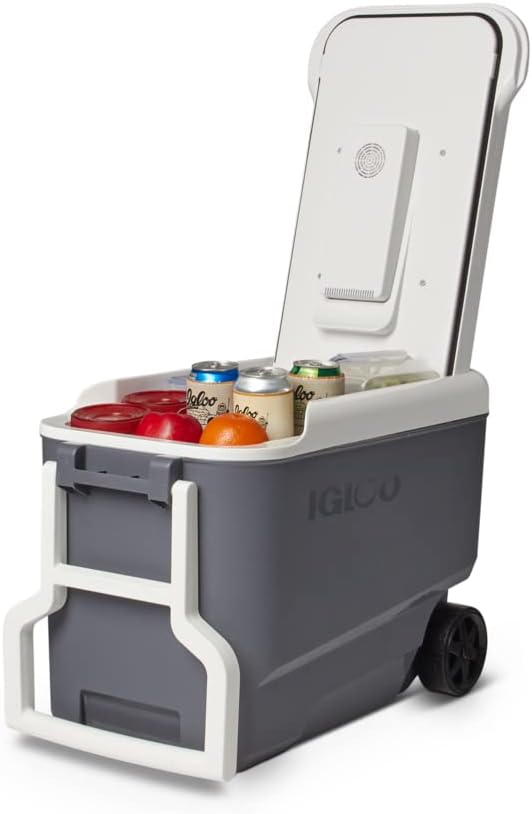 Igloo Iceless Thermoelectric Cooler | Portable Electric Plug-in Coolers