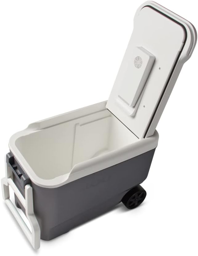Igloo Iceless Thermoelectric Cooler | Portable Electric Plug-in Coolers