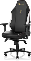 Secretlab Titan Evo Classic Gaming Chair - Reclining, Ergonomic & Comfortable Computer Chair with 4D Armrests, Magnetic Head Pillow & 4-Way Lumbar Support - Black - Leatherette