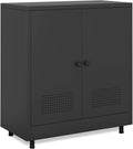 Metal Storage Cabinet with 2 Doors and Adjustable Shelf, Steel Accent Sideboard Buffet Cabinet for Home, Office, Garage, Entryway, Living Room, Kitchen Pantry and Dining Room (Black)
