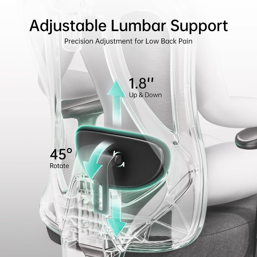 Hbada P3 Ergonnomic Office Chair with 2D Adjustable Lumbar Support, Office Chairs with Adjustable Headrest and Armrest, 145° Stepless Tilt Function, Black(No Footrest)