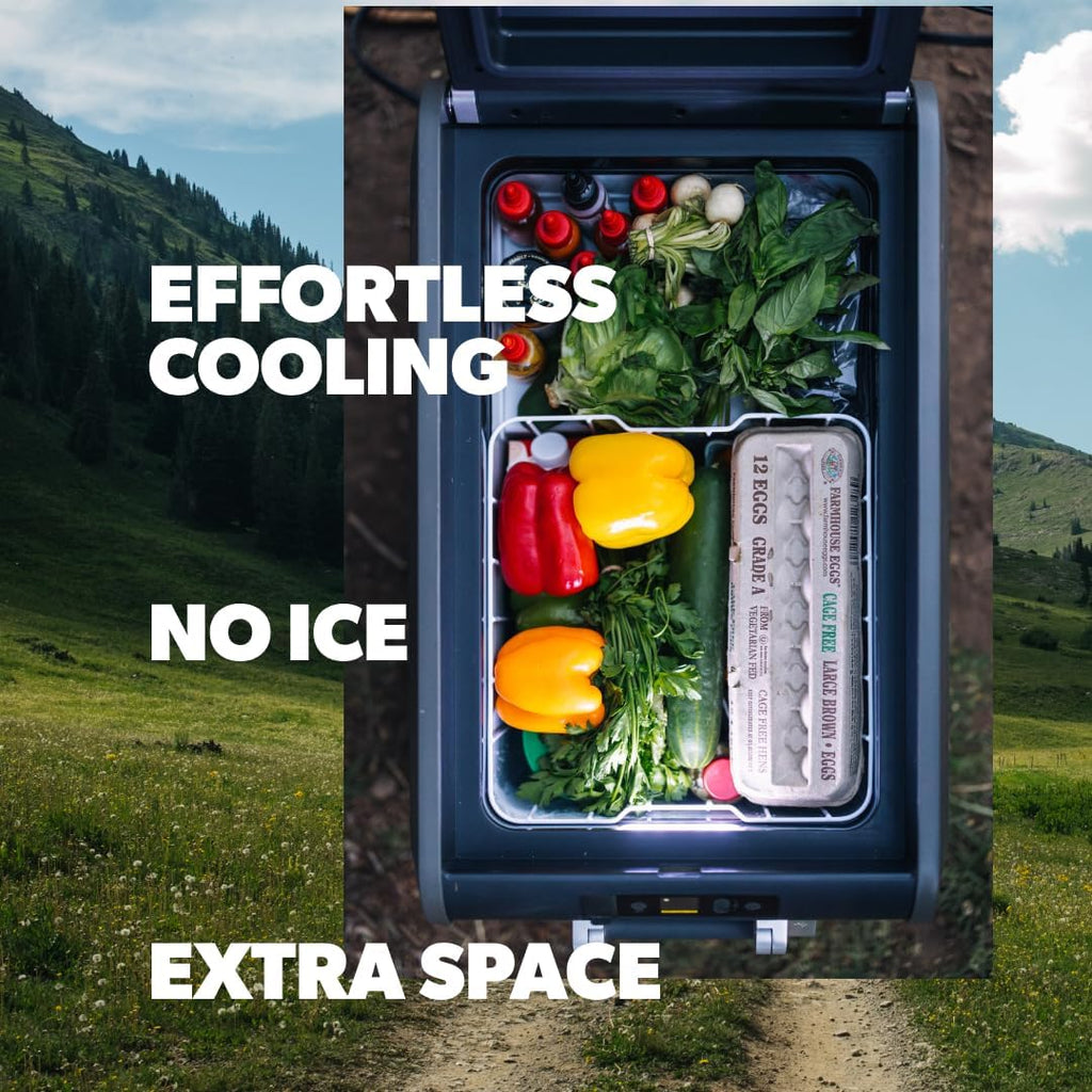 Dometic CFX Electric Cooler | Portable Freezer | CFX5 & CFX3 Series | AC/DC or Solar Powered