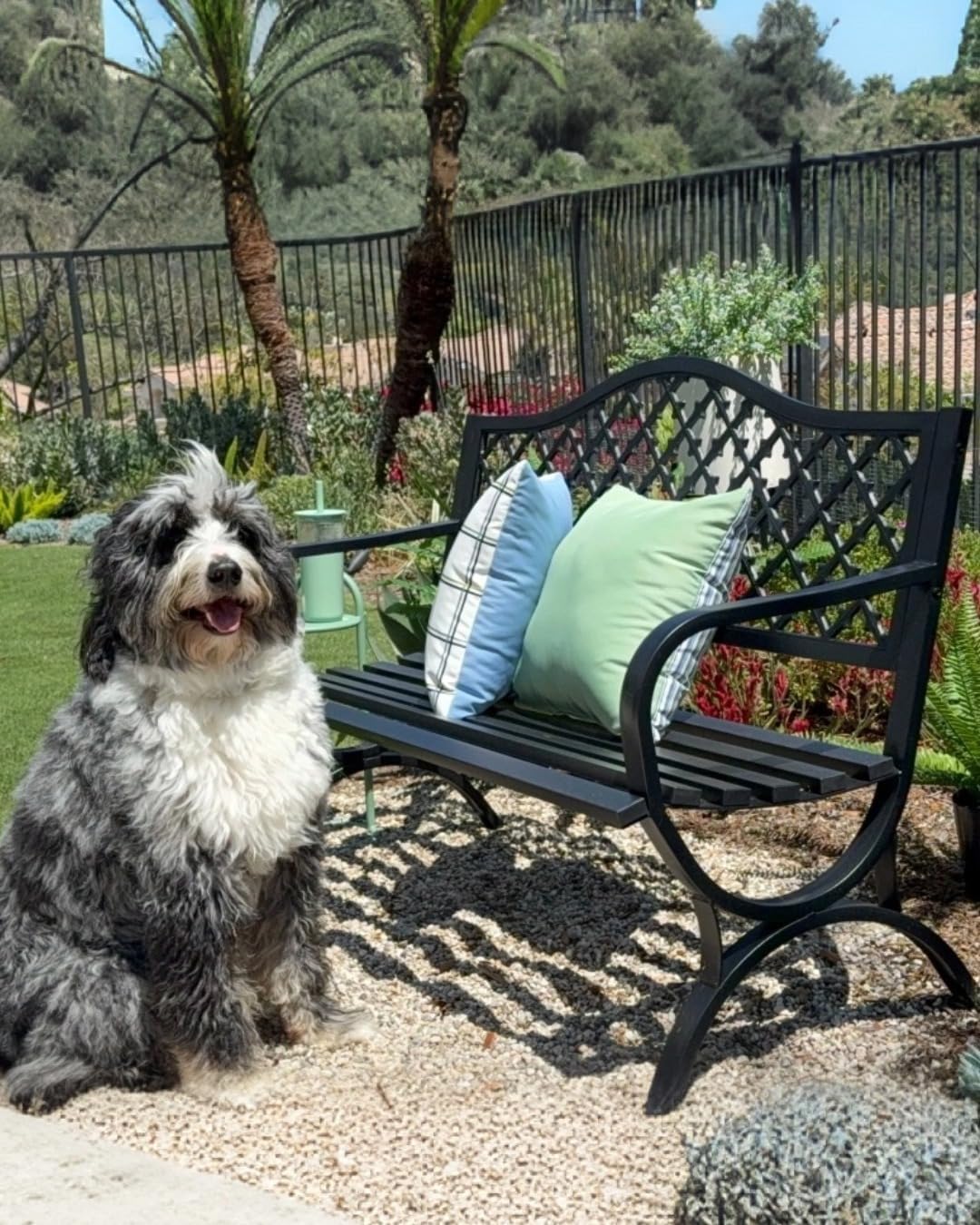 PHI VILLA 50' Outdoor Garden Patio Metal Bench for Outdoors with Plastic Backrest Armrests Sturdy Steel Frame, Black