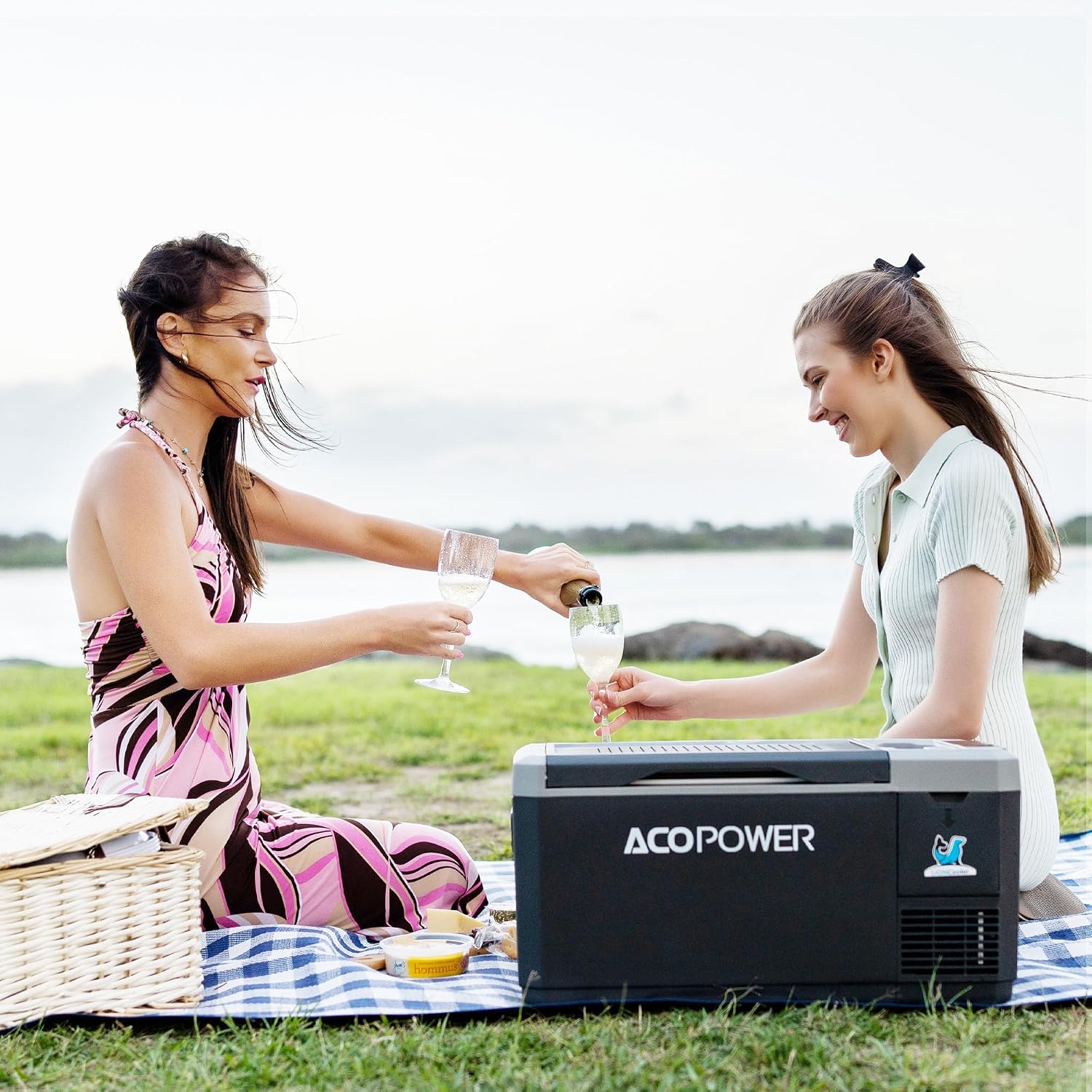 CHERY INDUSTRIAL.COM Car Refrigerator 12 Volt Car Freezer Portable Refrigerator Electric Cooler App Control -4℉-43℉ for Travel Camping Road Trip，28QT(26L),with Battery
