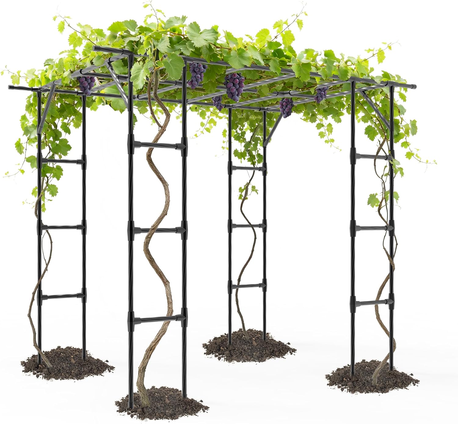 Grape Vine Trellis - Cucumber Trellis Size: 95.7 * 61.6 * 78.5 inches - Large Outdoor Garden Arch Trellis, Used for Outdoor Climbing of Plants, Courtyard and Garden Decoration of Pavilions (Black)