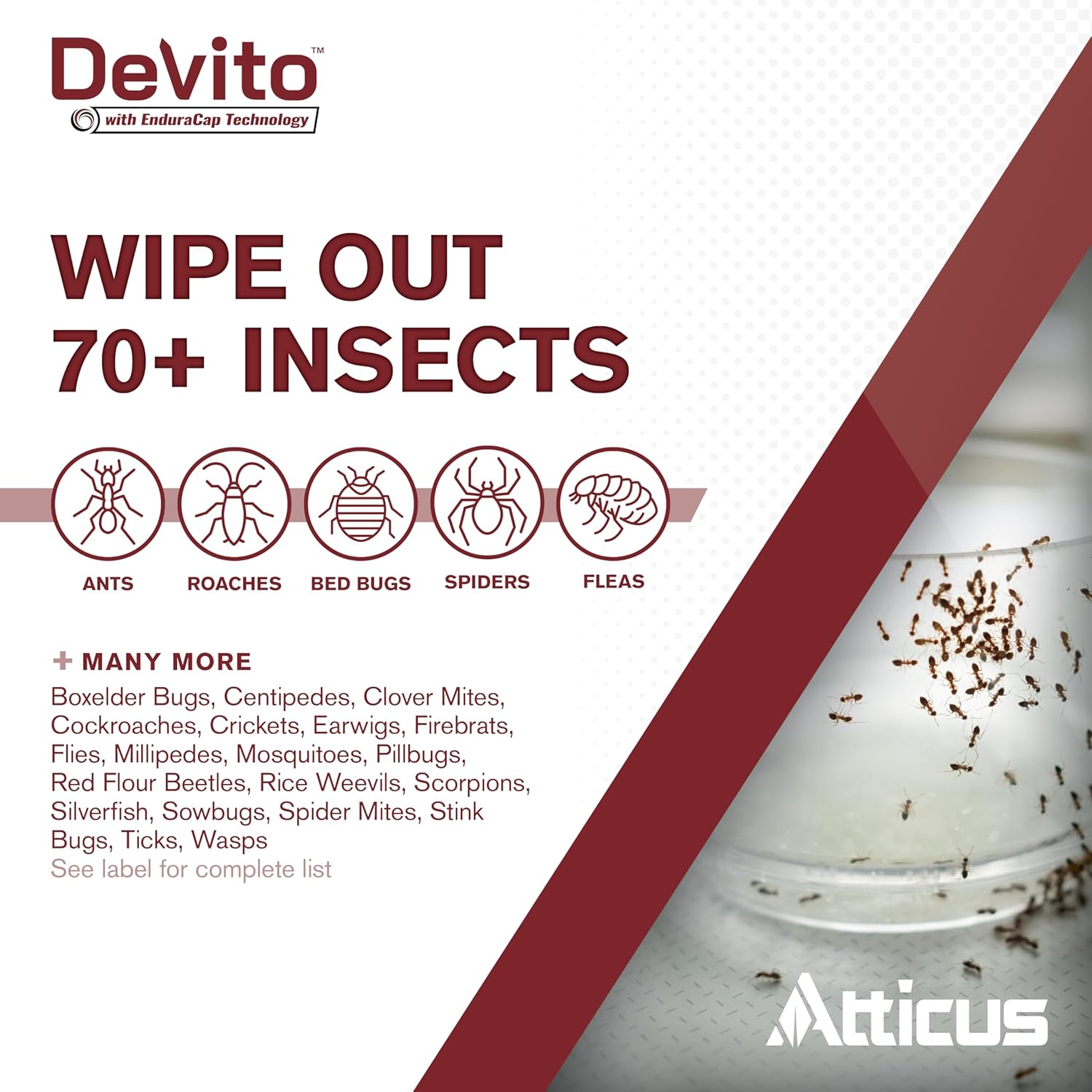 Atticus Devito CS Insecticide (32oz) - Lambda-cyhalothrin 9.7% Indoor and Outdoor Insect Control with EnduraCap Technology (Pack of 2)