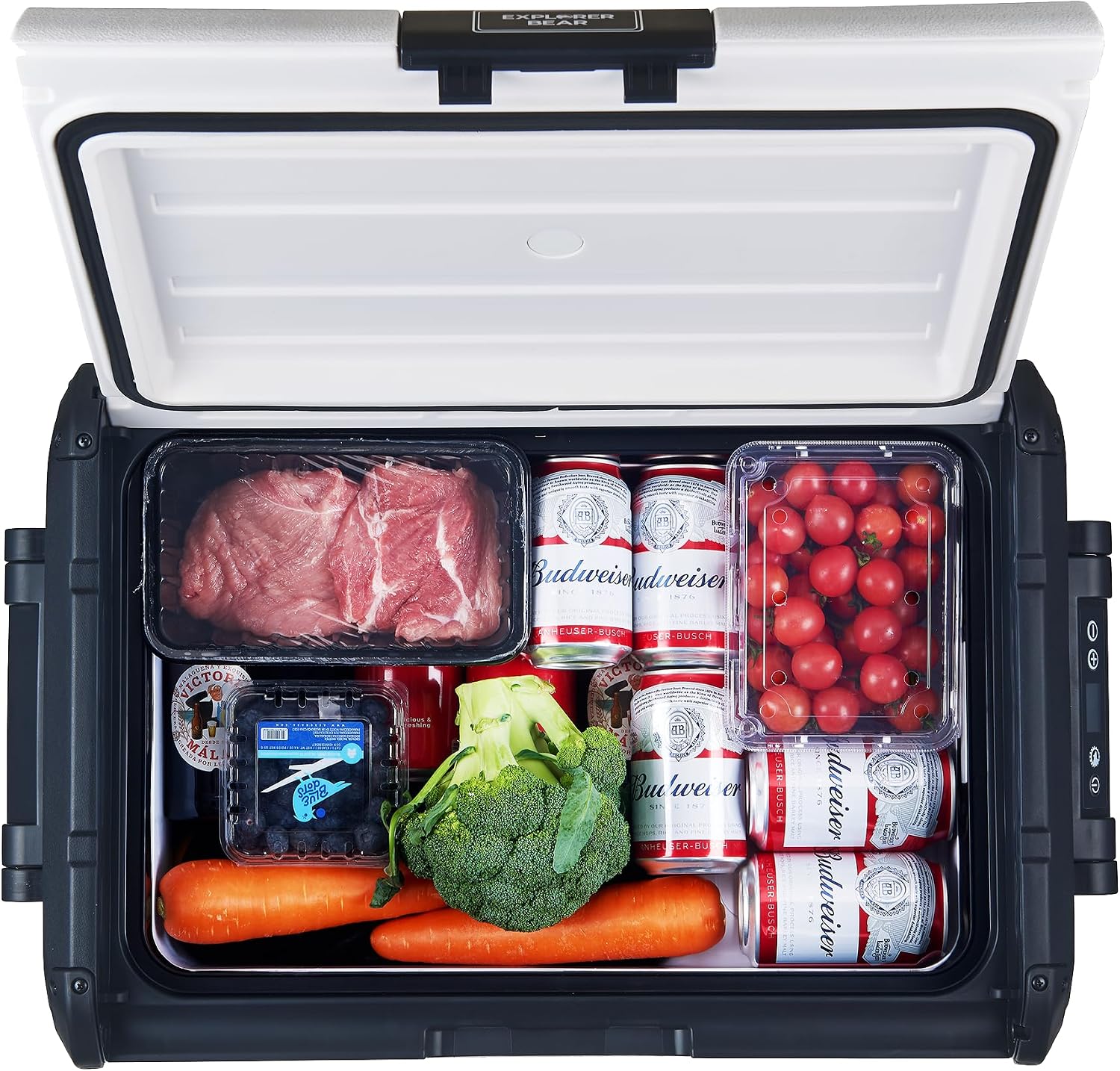 Explorer Bear Urban Series 48QT/45L 12V/24V Portable Battery Powered Electric Cooler Fridge Freezer Powered by LG Compressor (Battery Not Included)