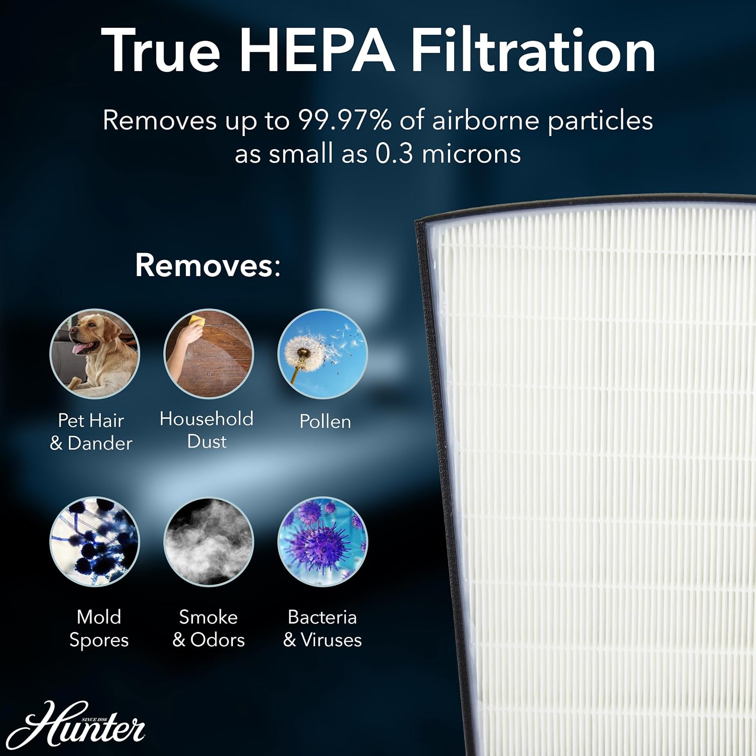Hunter HP800 Air Purifiers for Home Large Room and Bedroom. True HEPA Air Purifier for Pets, Odors, Allergens, Smoke, Dust, VOC's. 4 Fan Speeds, Quiet Sleep Mode. Cleans 2585 Ft² per Hour. Black