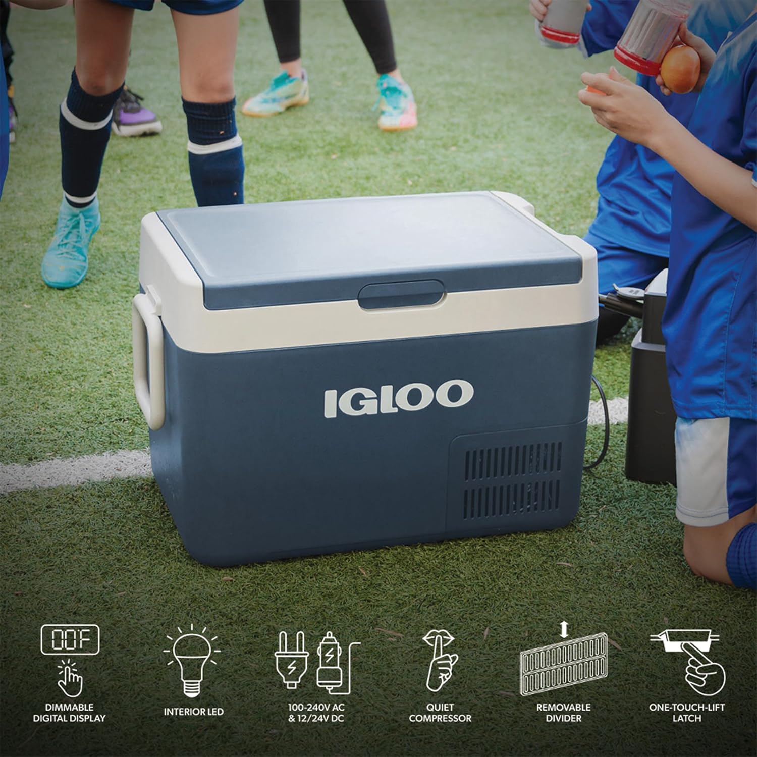 Igloo ICF Electric Compressor Cooler