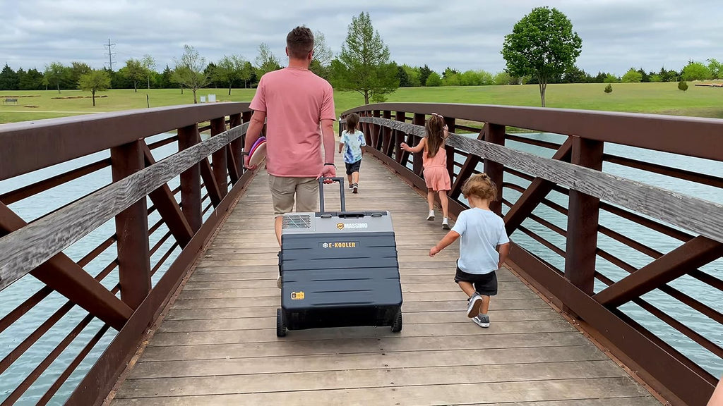 Massimo Motor E-Kooler AC/DC Travel Cooler Fridge for Vehicle RV Boat Fishing Camping, Iceless Electric, Portable Freezer Fridge APP Control