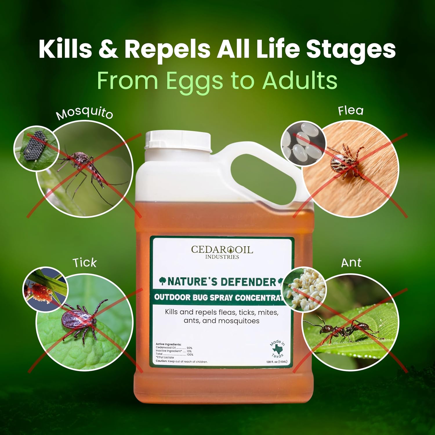 Nature's Defender Outdoor Pest Control Spray – All-Natural Cedarwood Oil Formula for Mosquitoes, Ticks, Fleas, and Ants – Safe for Pets, Kids, & Plants – 128 oz (1Gal) Concentrate Treats 160,000 sq.ft
