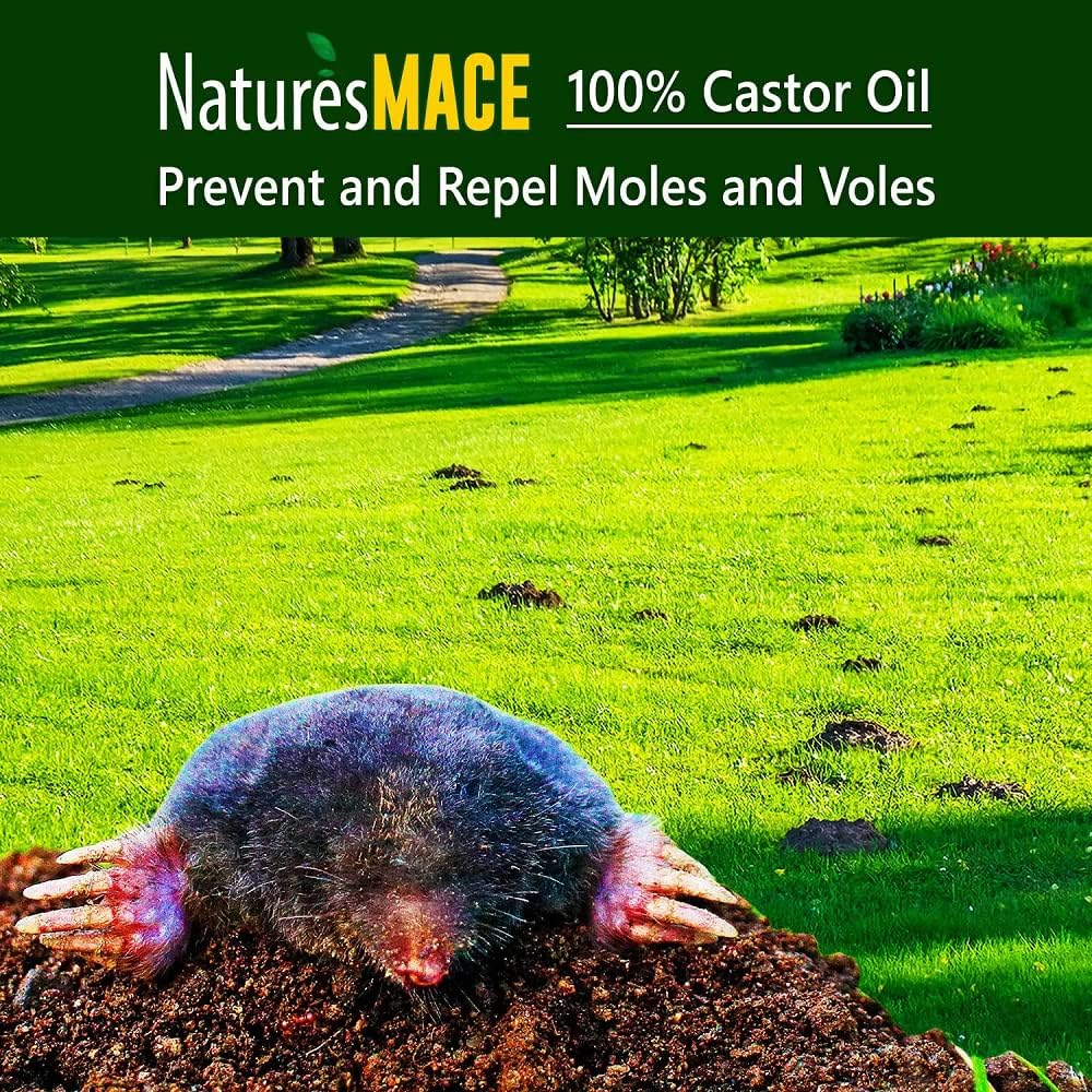 Nature's MACE Mole and Vole Mace, 5 Gallon, 100% Pure Castor Oil, Mole Deterrent for Yard, Lawns, Mole Repellent, Stop Tunneling, Mole Remover Treatment, Castor Oil Repellent, People, Pet, Plant Safe