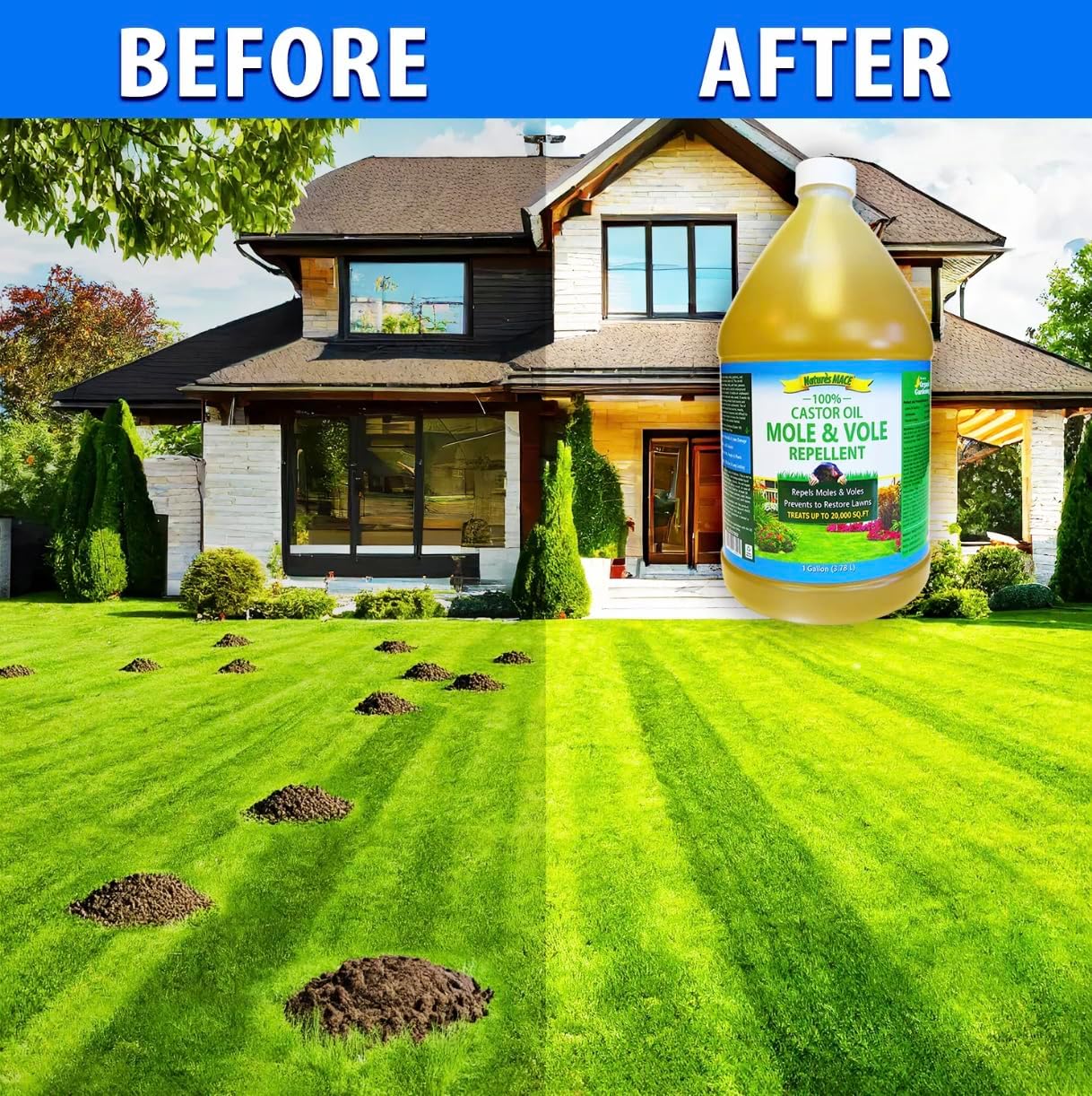 Nature's MACE Mole and Vole Mace, 5 Gallon, 100% Pure Castor Oil, Mole Deterrent for Yard, Lawns, Mole Repellent, Stop Tunneling, Mole Remover Treatment, Castor Oil Repellent, People, Pet, Plant Safe