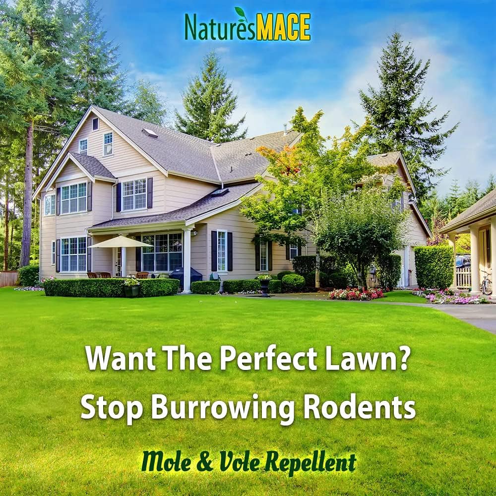 Nature's MACE Mole and Vole Mace, 5 Gallon, 100% Pure Castor Oil, Mole Deterrent for Yard, Lawns, Mole Repellent, Stop Tunneling, Mole Remover Treatment, Castor Oil Repellent, People, Pet, Plant Safe
