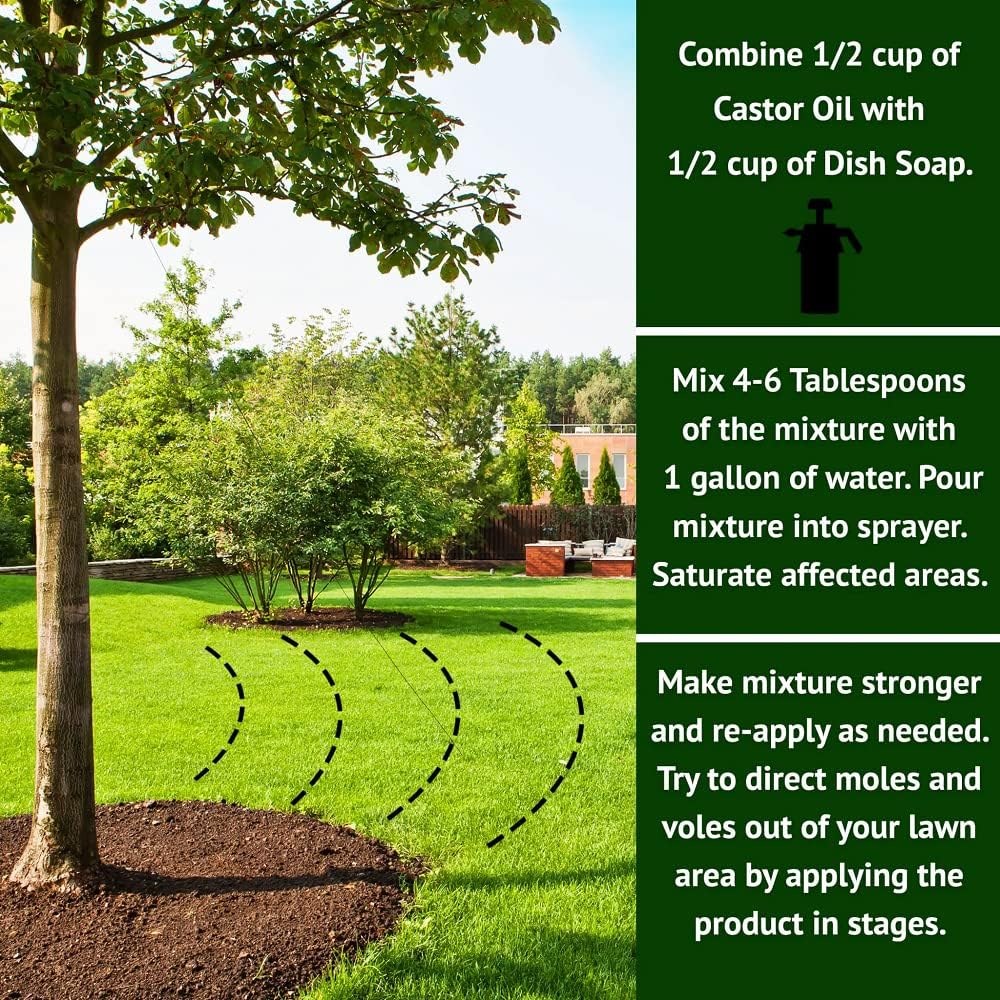 Nature's MACE Mole and Vole Mace, 5 Gallon, 100% Pure Castor Oil, Mole Deterrent for Yard, Lawns, Mole Repellent, Stop Tunneling, Mole Remover Treatment, Castor Oil Repellent, People, Pet, Plant Safe