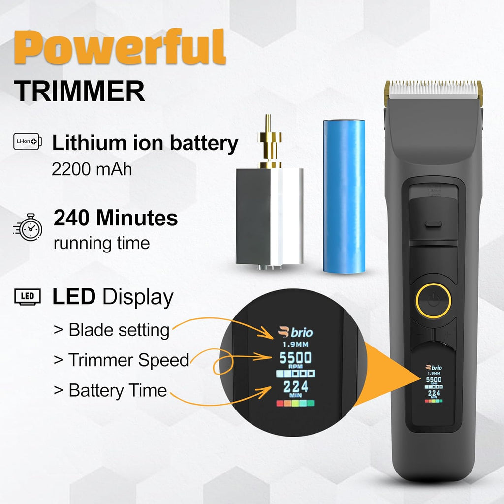 Brio Beardscape V2 Beard Trimmer for Men Professional with Low Friction Ceramic Blade, Cordless Professional Hair Trimmer for Barbers with 4 Hrs of Long Battery Timing, Ideal for Beard & Body (Gray)