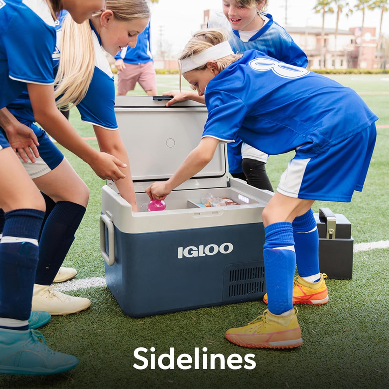 Igloo ICF Electric Compressor Cooler