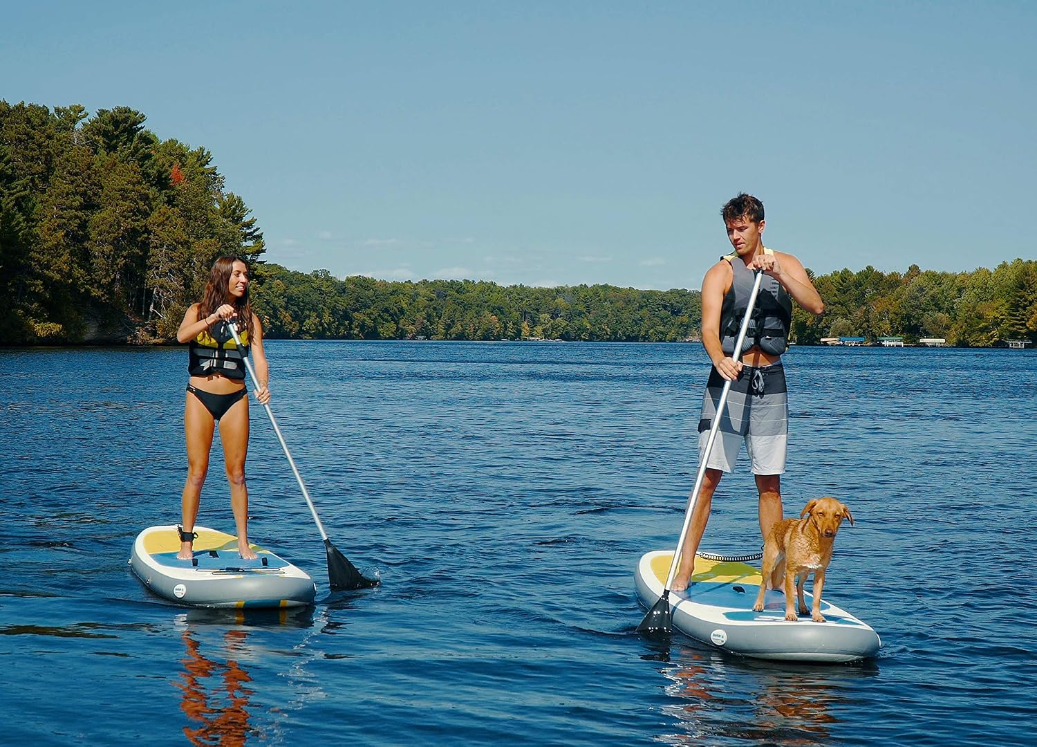Inflatable Stand Up Paddle Board Paw Paddler by Blue Water Toys - 11ft Nylon and Mesh Inflatable Paddle Board with 100% UV-Resistant Honeycomb EVA Pad, Complete SUP Set for Pets and Humans