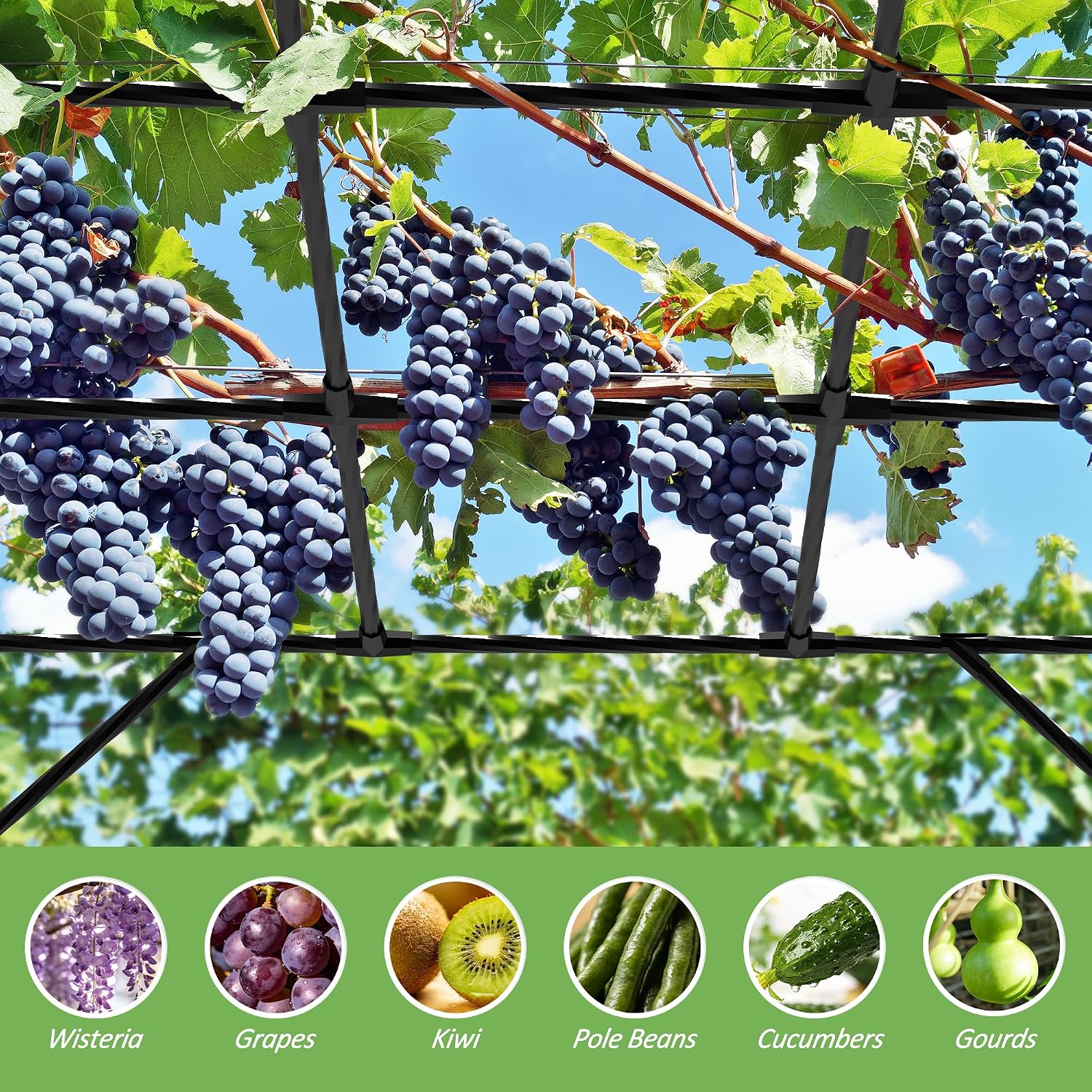Grape Vine Trellis - Cucumber Trellis Size: 95.7 * 61.6 * 78.5 inches - Large Outdoor Garden Arch Trellis, Used for Outdoor Climbing of Plants, Courtyard and Garden Decoration of Pavilions (Black)