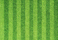20X10ft Fabric Green Striped Grass Field Backdrop Soccer Sports Ground Background for Kids Birthday Party Decorations Outdoor Theme Wall Hanging Photo Studio Props