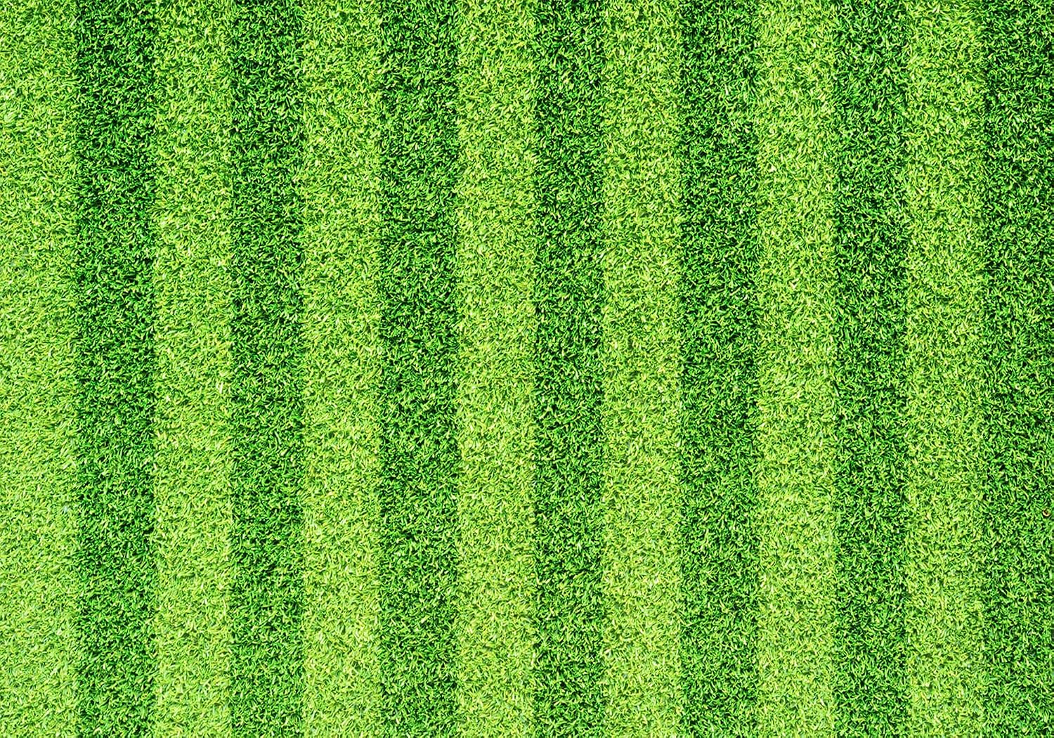 20X10ft Fabric Green Striped Grass Field Backdrop Soccer Sports Ground Background for Kids Birthday Party Decorations Outdoor Theme Wall Hanging Photo Studio Props